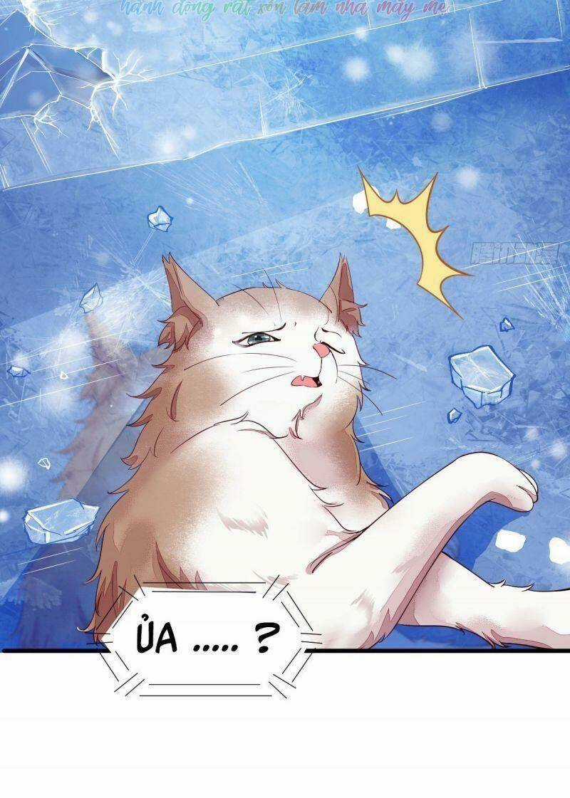 Sát Thủ Vương Phi Không Dễ Chọc - Chapter 44 - Trang 9