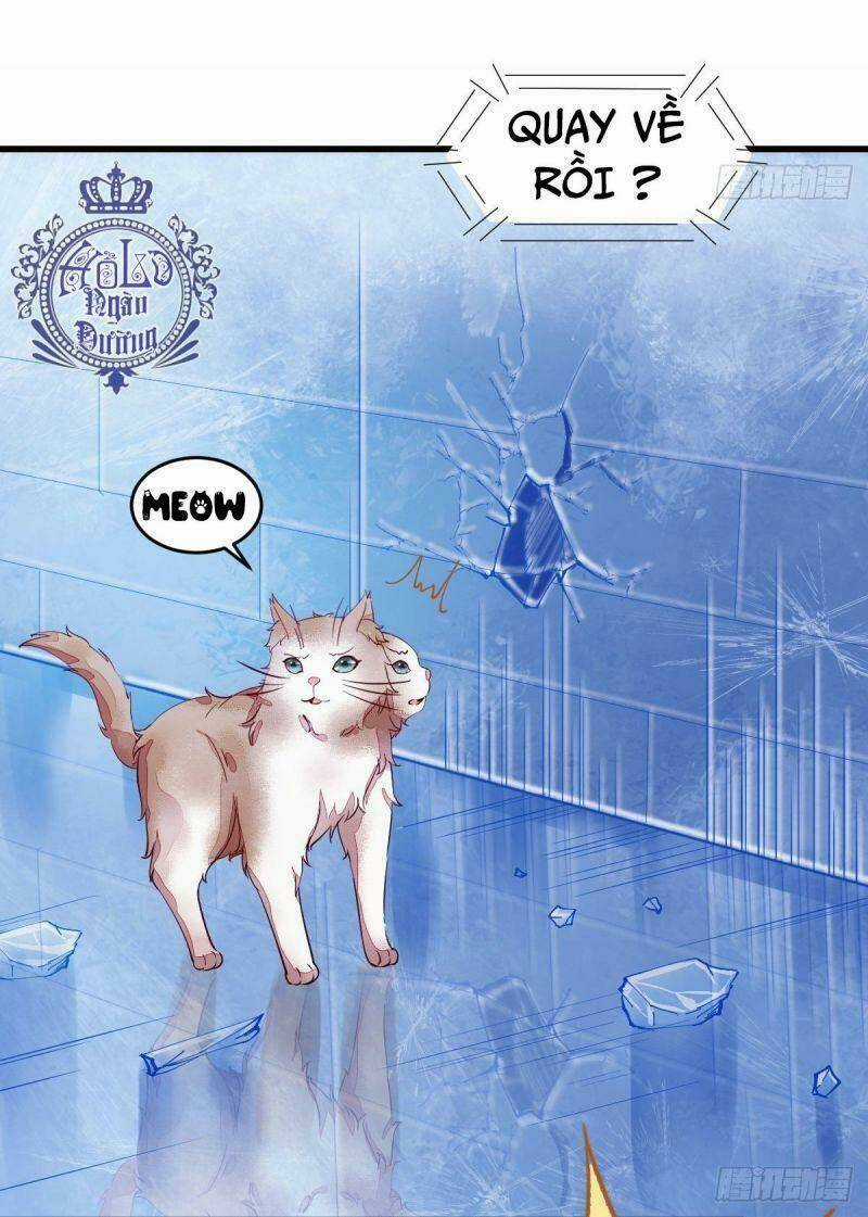 Sát Thủ Vương Phi Không Dễ Chọc - Chapter 44 - Trang 10