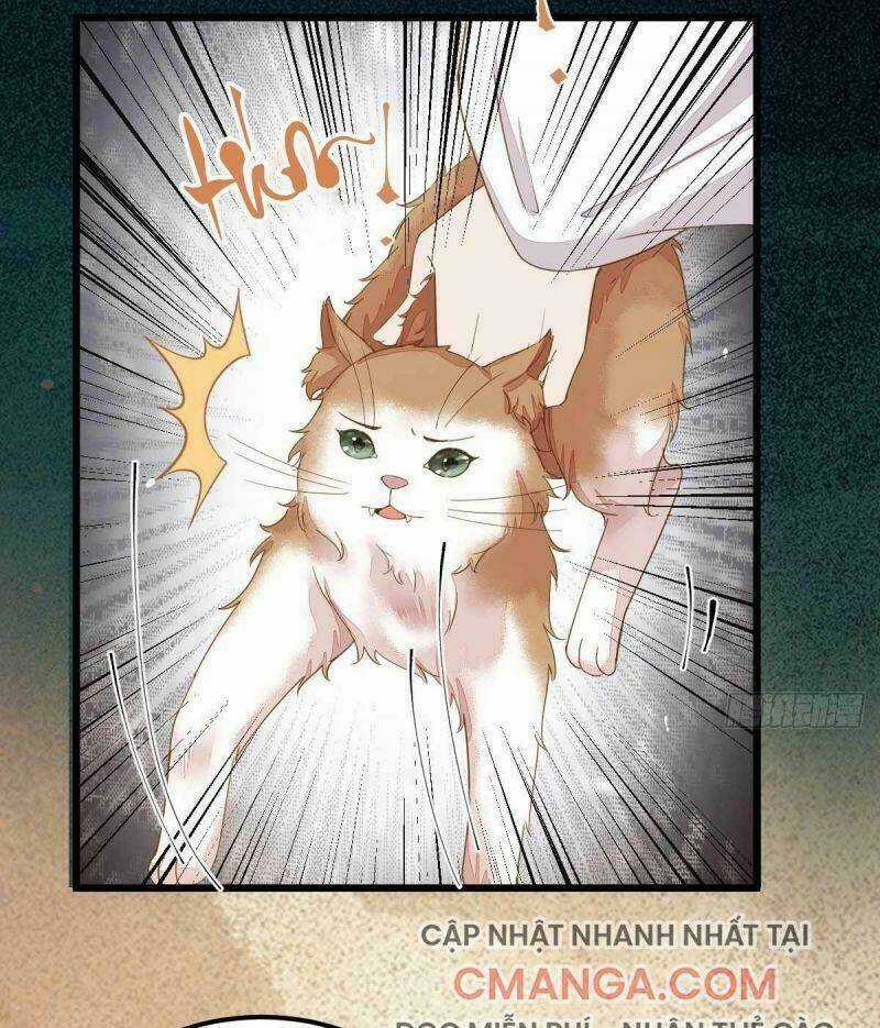 Sát Thủ Vương Phi Không Dễ Chọc - Chapter 45 - Trang 11