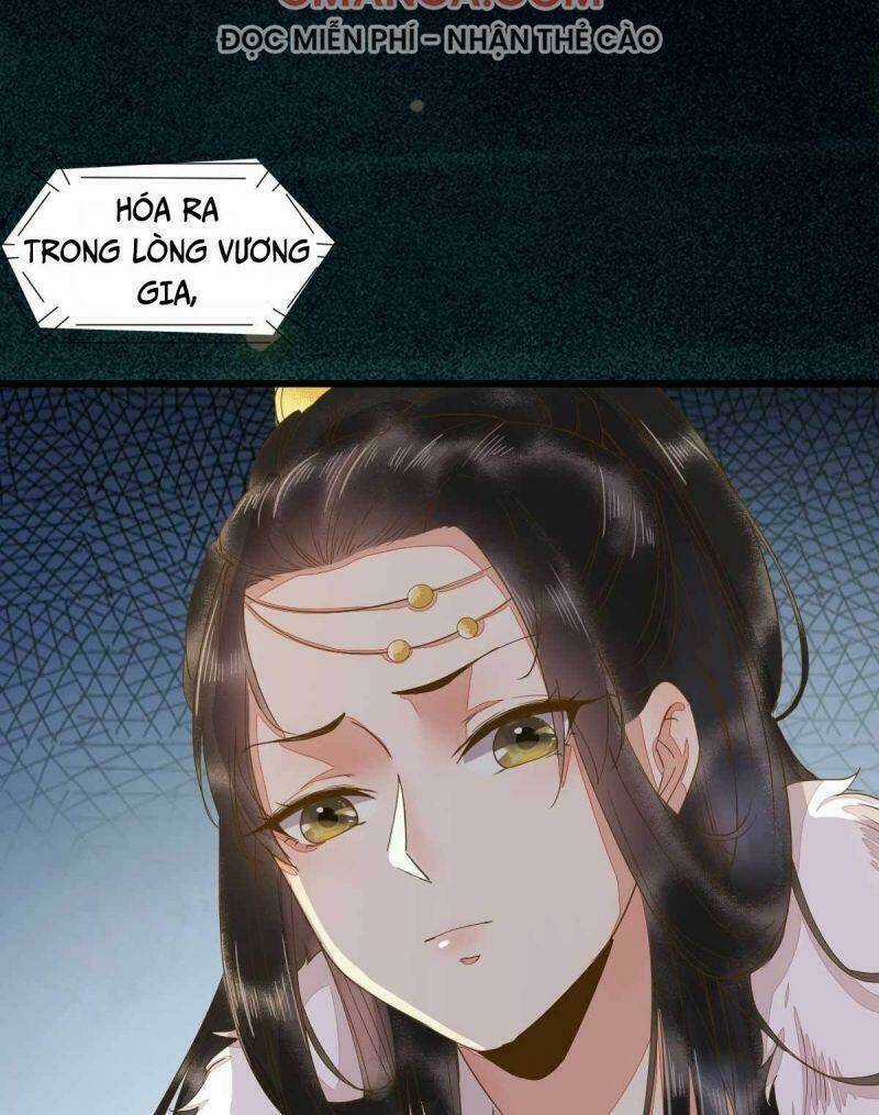 Sát Thủ Vương Phi Không Dễ Chọc - Chapter 45 - Trang 19