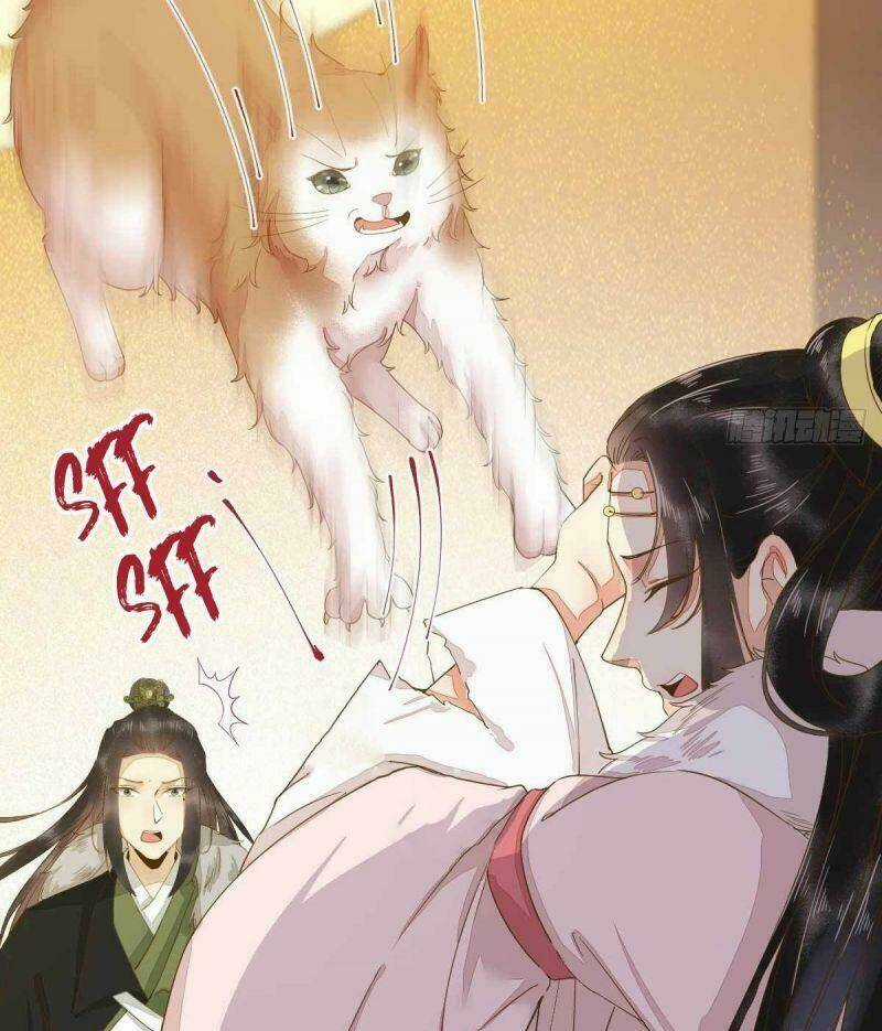 Sát Thủ Vương Phi Không Dễ Chọc - Chapter 45 - Trang 7