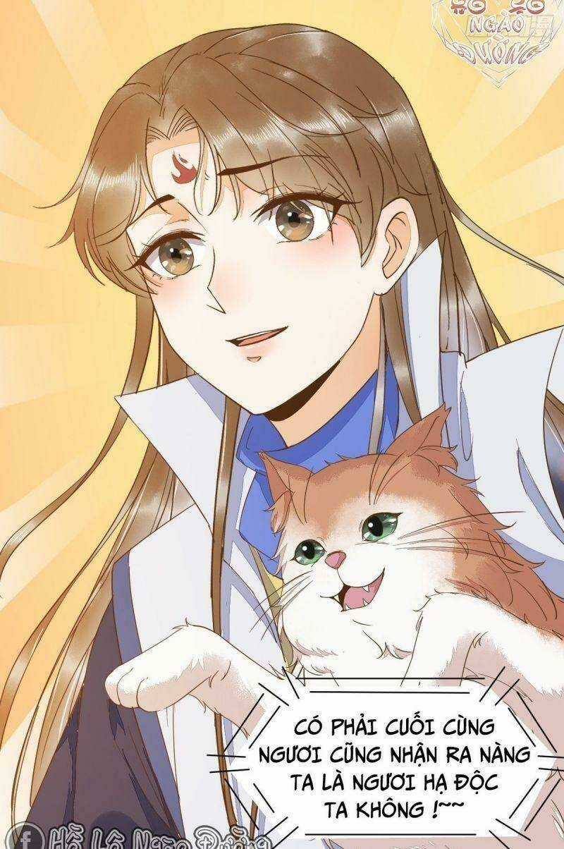 Sát Thủ Vương Phi Không Dễ Chọc - Chapter 46 - Trang 5