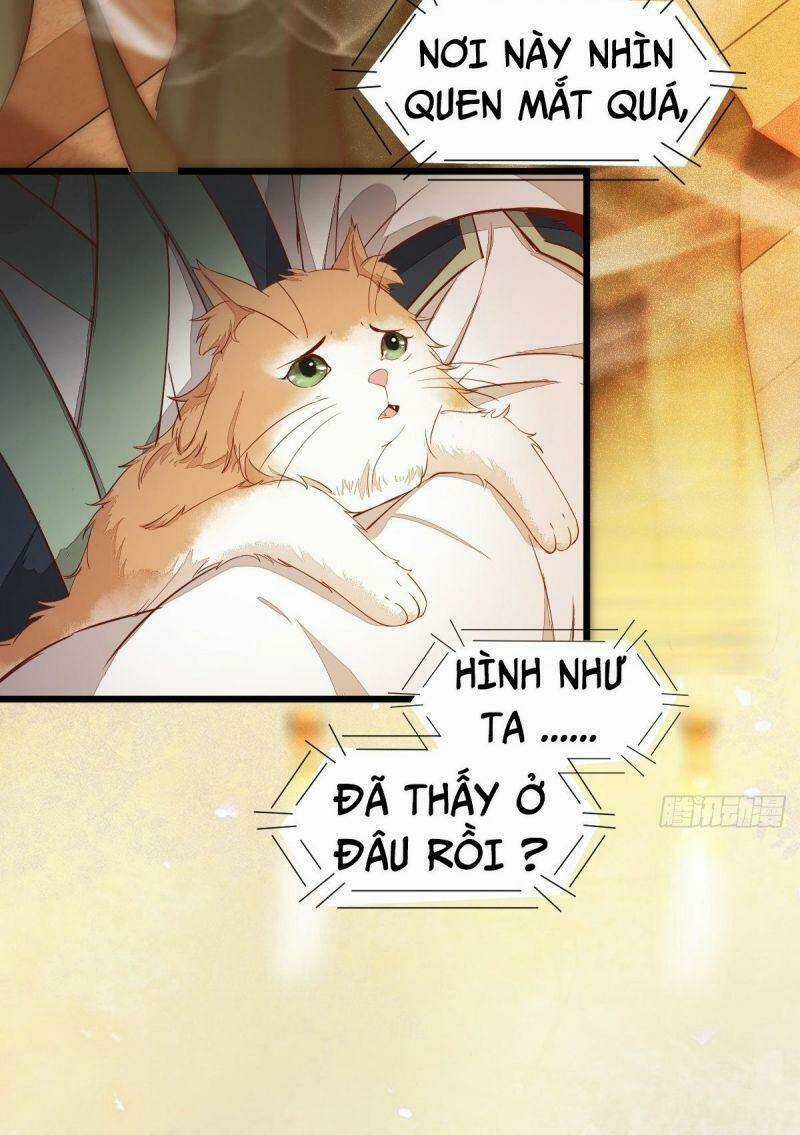 Sát Thủ Vương Phi Không Dễ Chọc - Chapter 47 - Trang 14