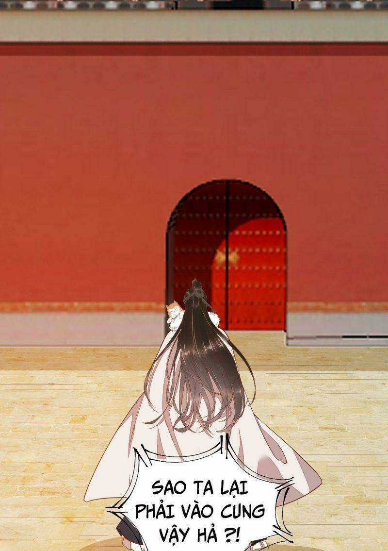 Sát Thủ Vương Phi Không Dễ Chọc - Chapter 47 - Trang 4