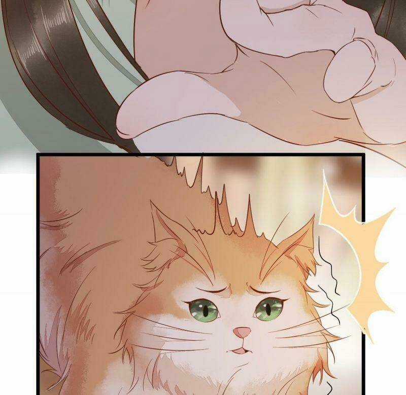 Sát Thủ Vương Phi Không Dễ Chọc - Chapter 47 - Trang 41