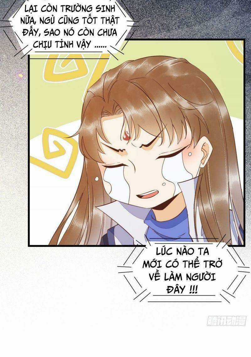 Sát Thủ Vương Phi Không Dễ Chọc - Chapter 47 - Trang 7