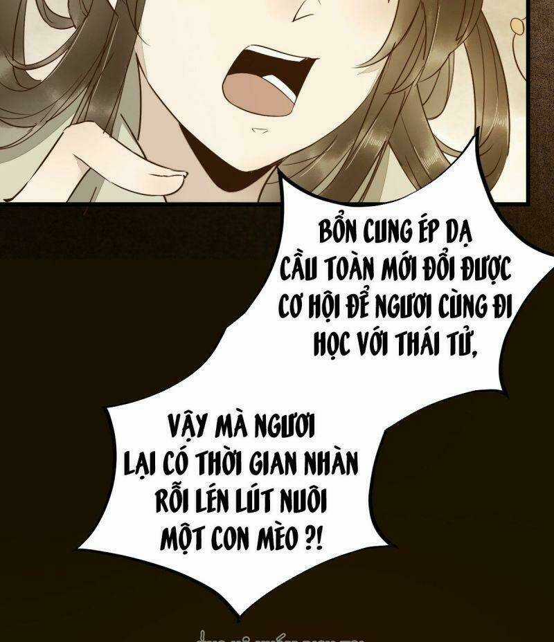 Sát Thủ Vương Phi Không Dễ Chọc - Chapter 48 - Trang 18