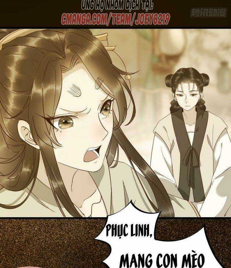 Sát Thủ Vương Phi Không Dễ Chọc - Chapter 48 - Trang 19