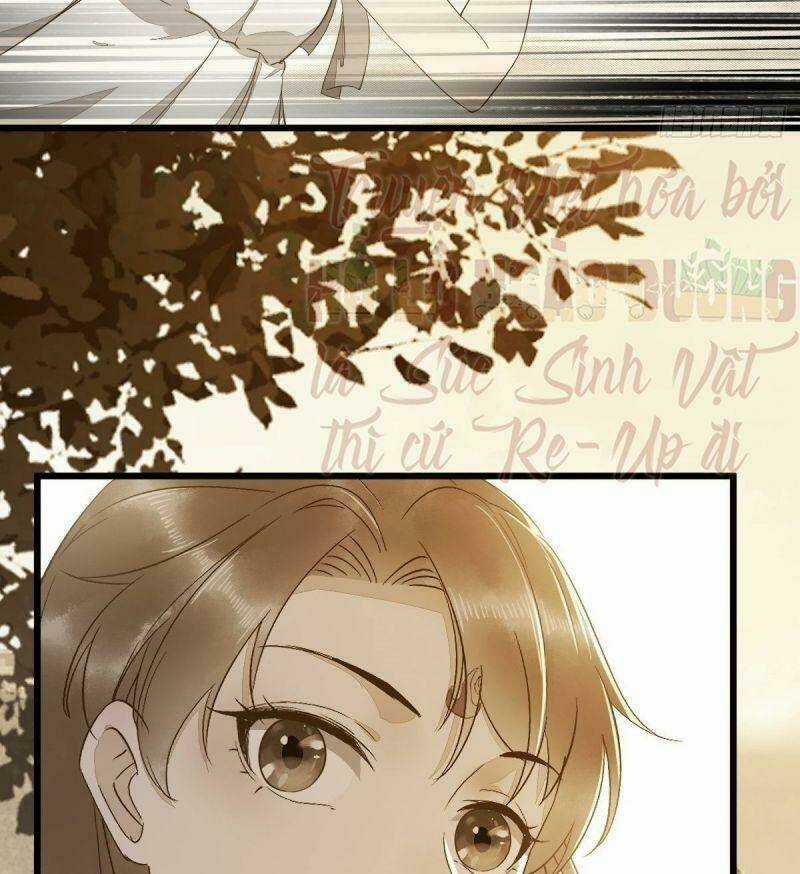 Sát Thủ Vương Phi Không Dễ Chọc - Chapter 48 - Trang 43