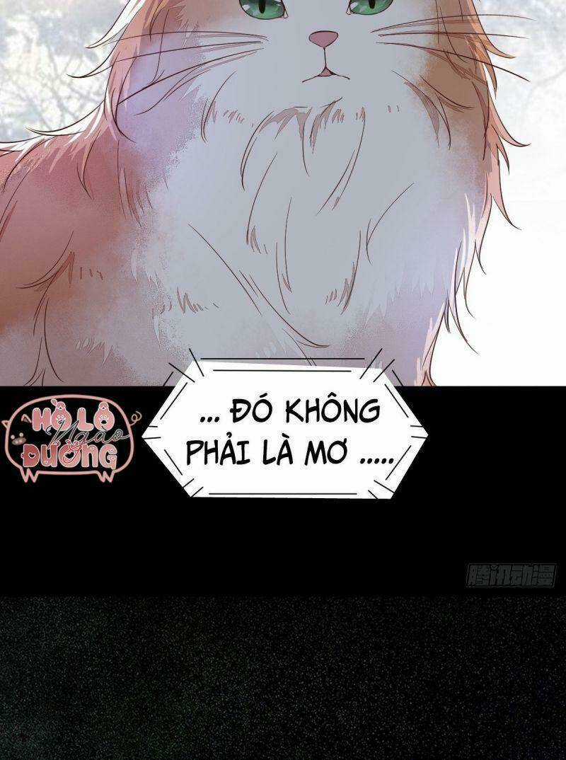 Sát Thủ Vương Phi Không Dễ Chọc - Chapter 48 - Trang 52