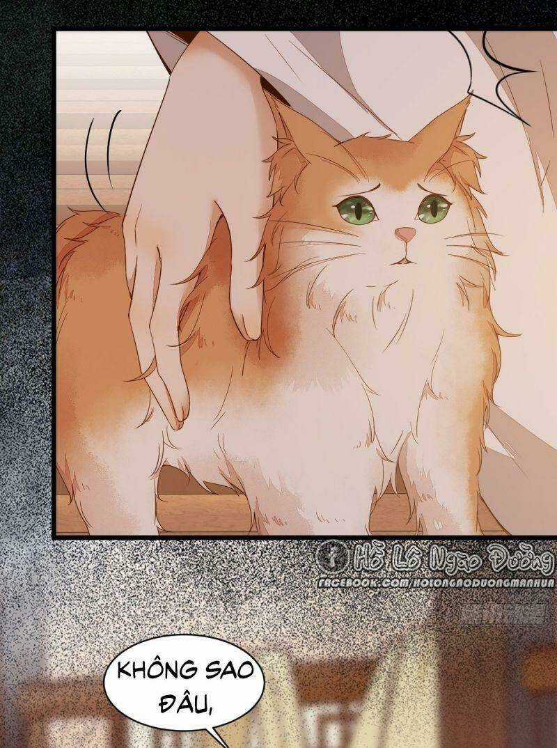 Sát Thủ Vương Phi Không Dễ Chọc - Chapter 48 - Trang 53