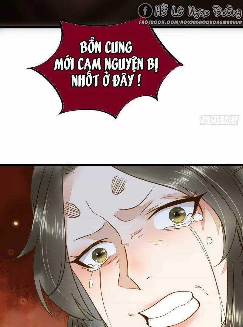 Sát Thủ Vương Phi Không Dễ Chọc - Chapter 49 - Trang 13