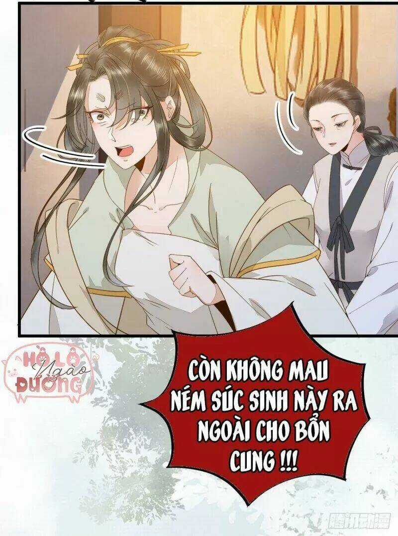 Sát Thủ Vương Phi Không Dễ Chọc - Chapter 49 - Trang 15