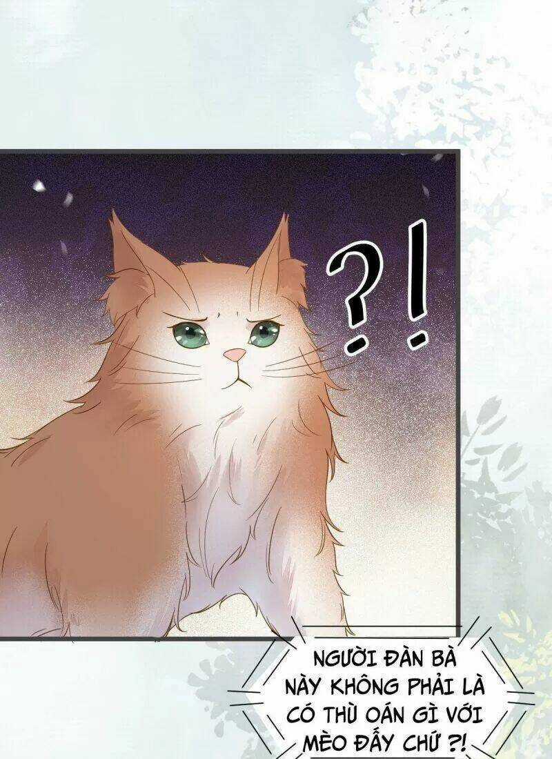 Sát Thủ Vương Phi Không Dễ Chọc - Chapter 49 - Trang 16