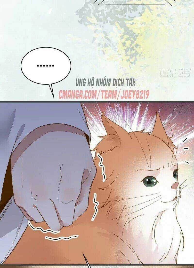 Sát Thủ Vương Phi Không Dễ Chọc - Chapter 49 - Trang 17