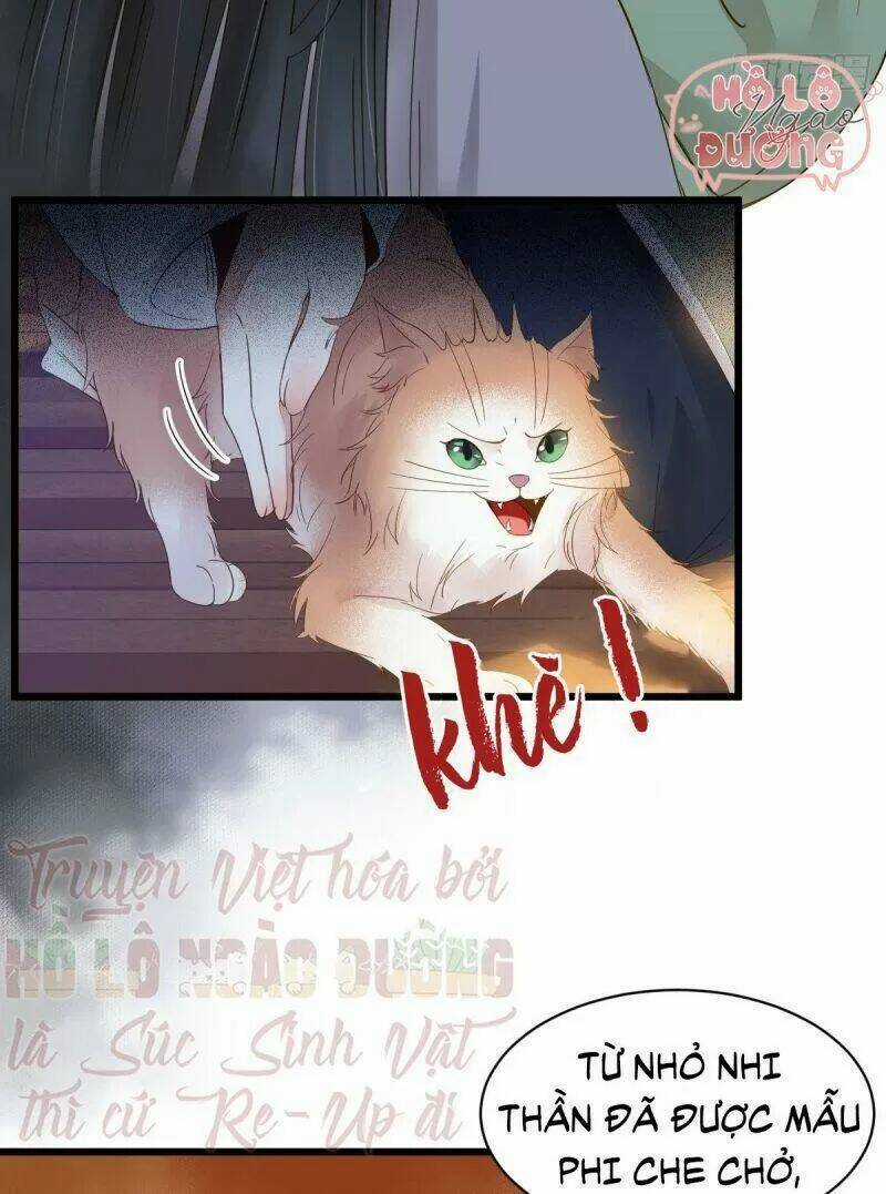 Sát Thủ Vương Phi Không Dễ Chọc - Chapter 49 - Trang 8