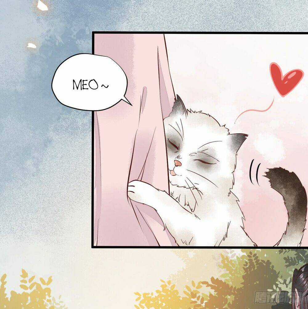 Sát Thủ Vương Phi Không Dễ Chọc - Chapter 5.5 - Trang 7