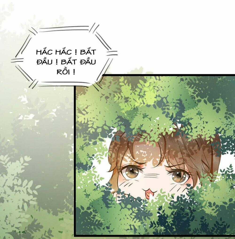 Sát Thủ Vương Phi Không Dễ Chọc - Chapter 5 - Trang 2