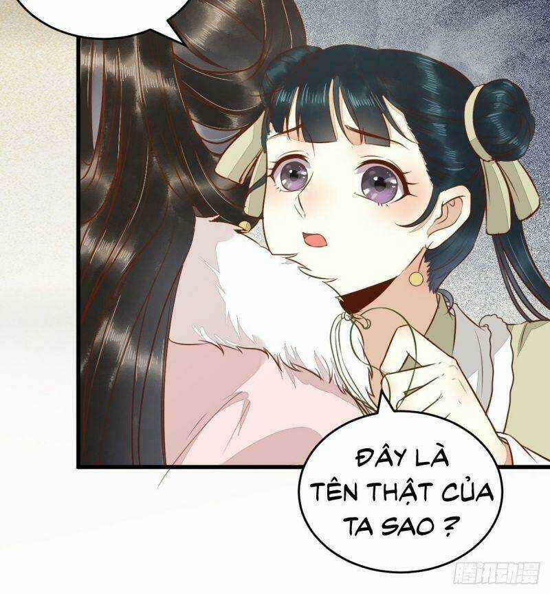 Sát Thủ Vương Phi Không Dễ Chọc - Chapter 50 - Trang 15