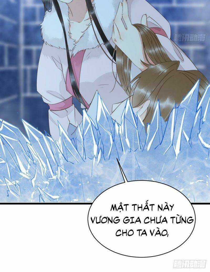 Sát Thủ Vương Phi Không Dễ Chọc - Chapter 51 - Trang 12