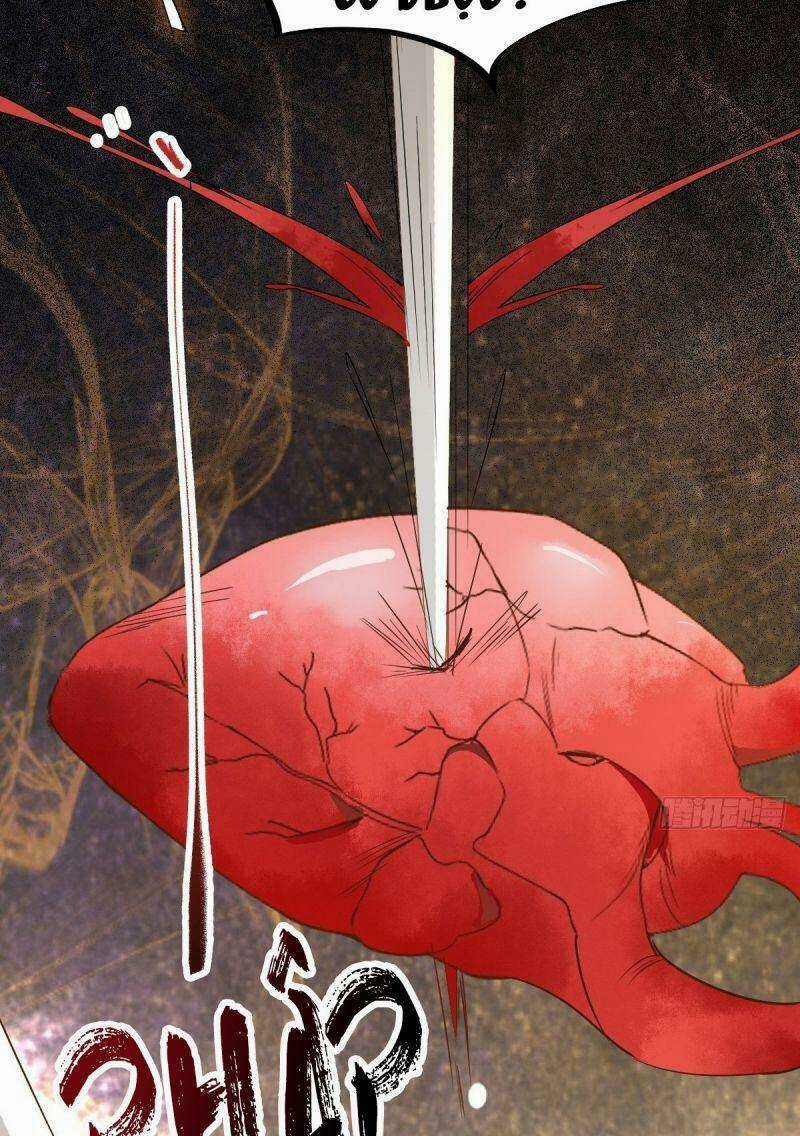 Sát Thủ Vương Phi Không Dễ Chọc - Chapter 51 - Trang 23