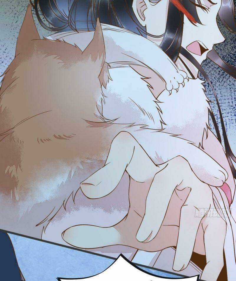 Sát Thủ Vương Phi Không Dễ Chọc - Chapter 51 - Trang 41