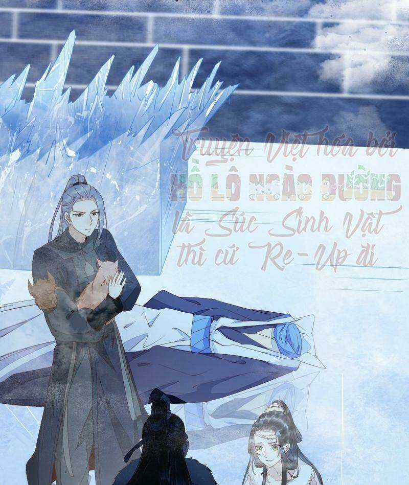 Sát Thủ Vương Phi Không Dễ Chọc - Chapter 52 - Trang 3