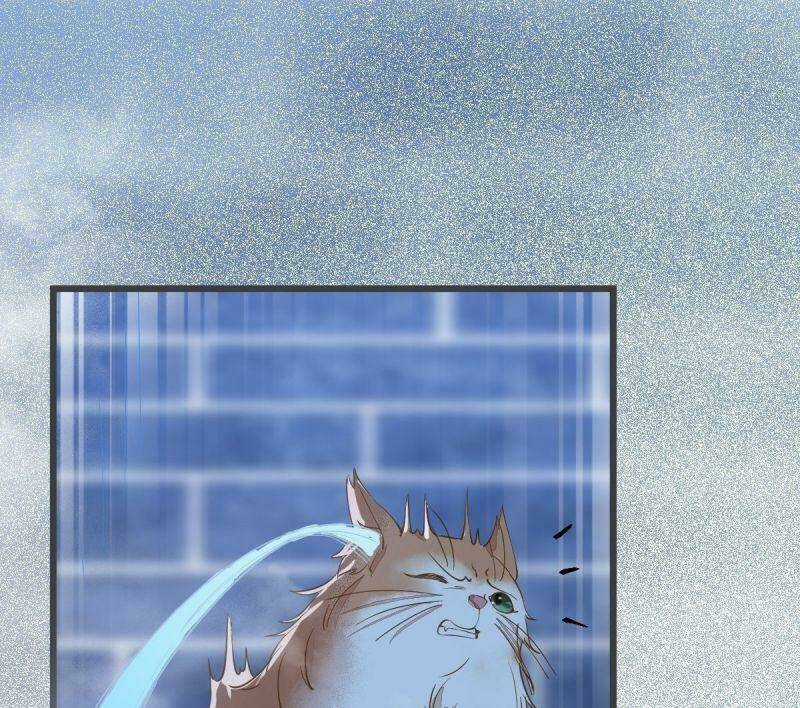 Sát Thủ Vương Phi Không Dễ Chọc - Chapter 52 - Trang 46