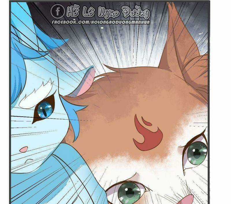 Sát Thủ Vương Phi Không Dễ Chọc - Chapter 52 - Trang 51