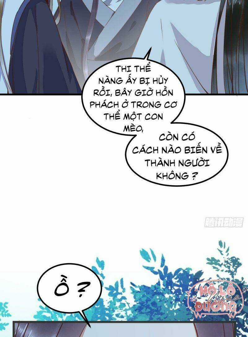 Sát Thủ Vương Phi Không Dễ Chọc - Chapter 54 - Trang 11