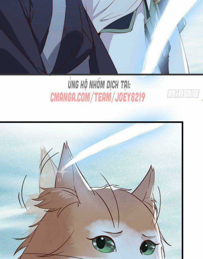 Sát Thủ Vương Phi Không Dễ Chọc - Chapter 55 - Trang 41