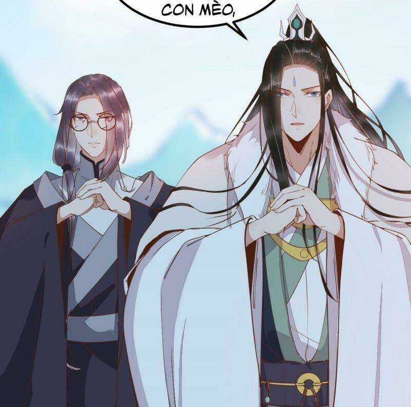 Sát Thủ Vương Phi Không Dễ Chọc - Chapter 55 - Trang 48