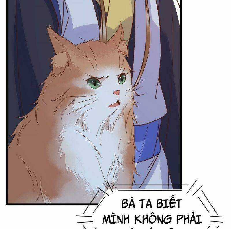 Sát Thủ Vương Phi Không Dễ Chọc - Chapter 55 - Trang 55