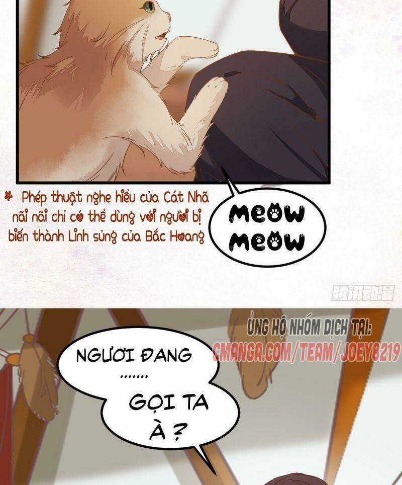 Sát Thủ Vương Phi Không Dễ Chọc - Chapter 56 - Trang 25