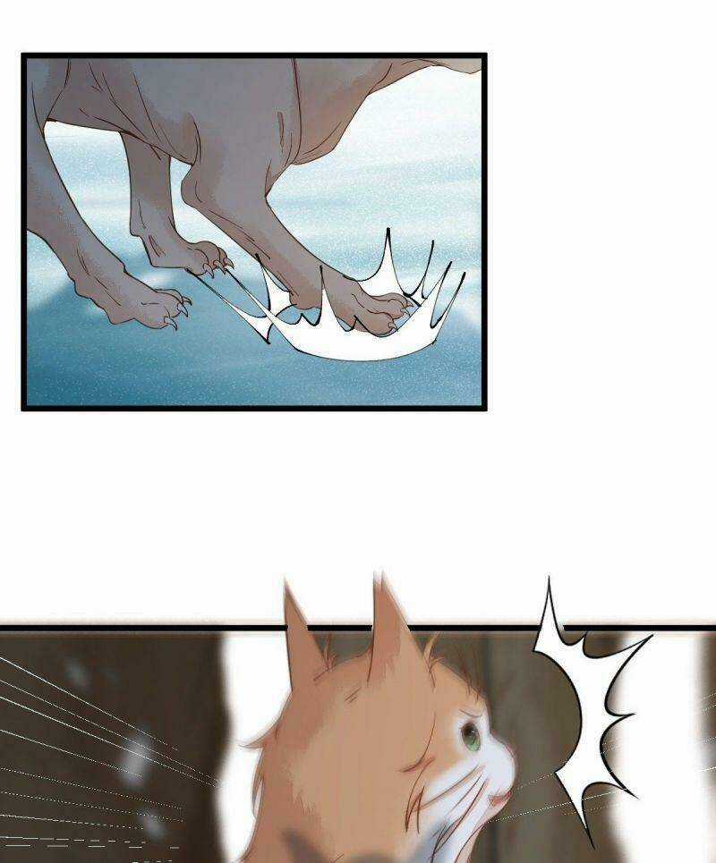 Sát Thủ Vương Phi Không Dễ Chọc - Chapter 57 - Trang 33