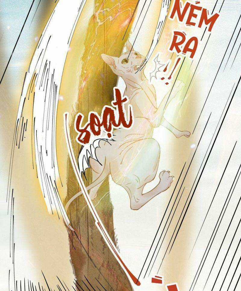 Sát Thủ Vương Phi Không Dễ Chọc - Chapter 57 - Trang 38