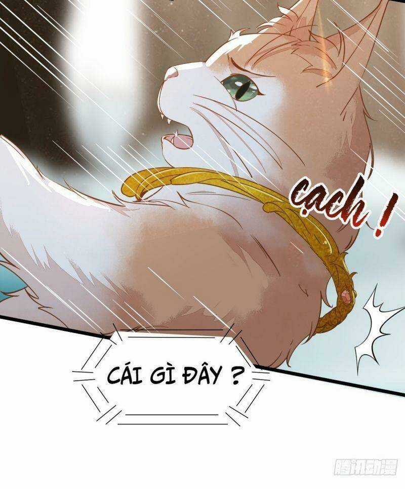 Sát Thủ Vương Phi Không Dễ Chọc - Chapter 57 - Trang 40