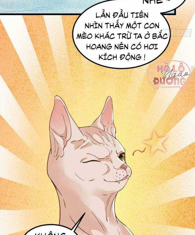 Sát Thủ Vương Phi Không Dễ Chọc - Chapter 57 - Trang 42