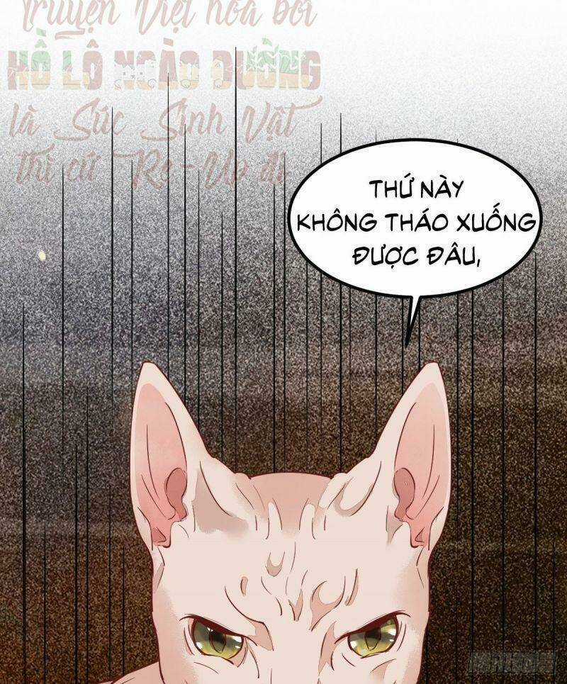 Sát Thủ Vương Phi Không Dễ Chọc - Chapter 57 - Trang 45