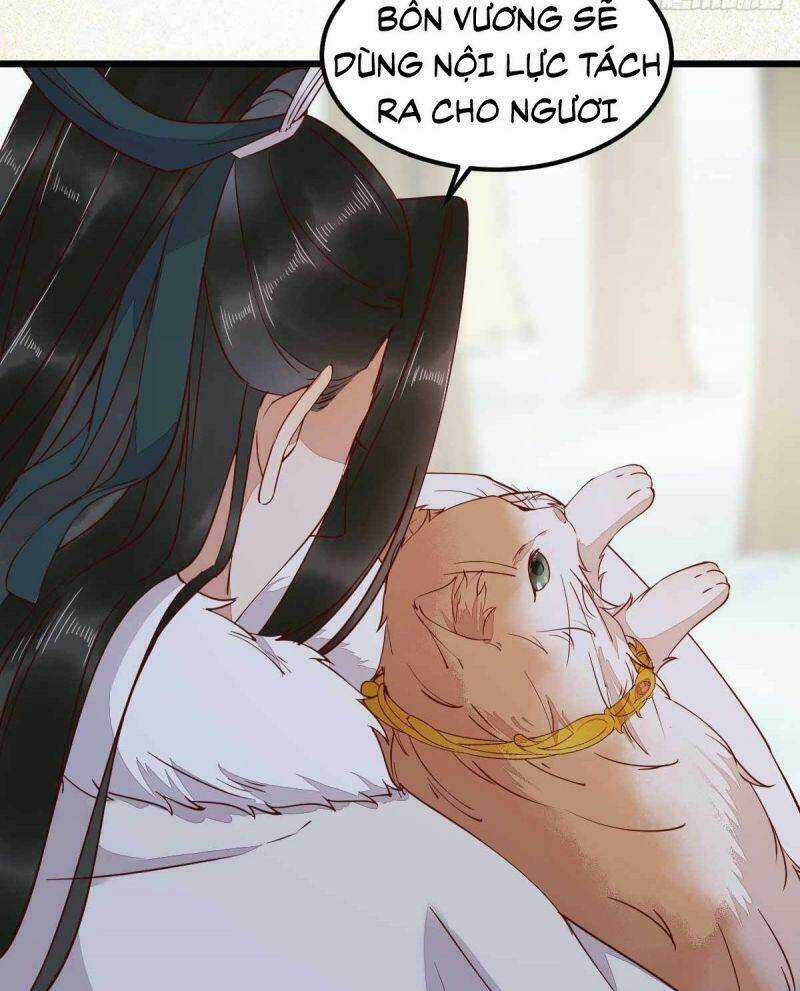 Sát Thủ Vương Phi Không Dễ Chọc - Chapter 58 - Trang 21