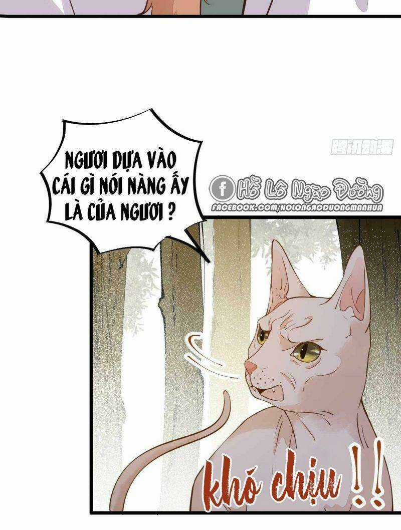 Sát Thủ Vương Phi Không Dễ Chọc - Chapter 58 - Trang 5