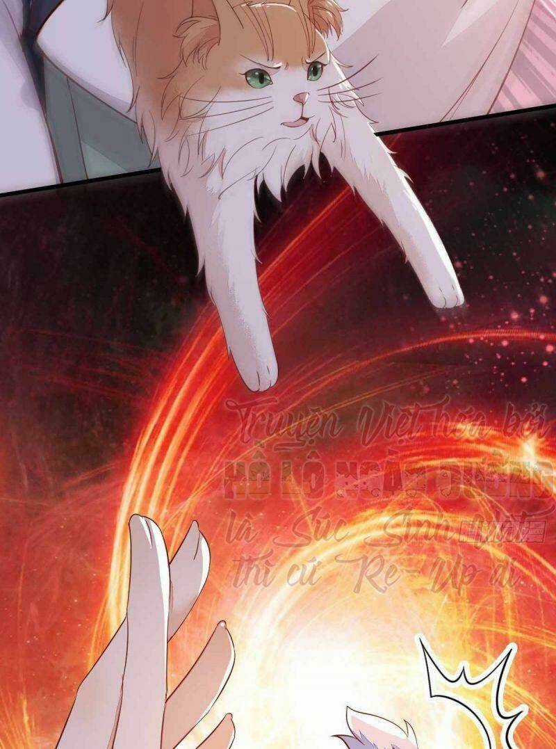 Sát Thủ Vương Phi Không Dễ Chọc - Chapter 59 - Trang 18