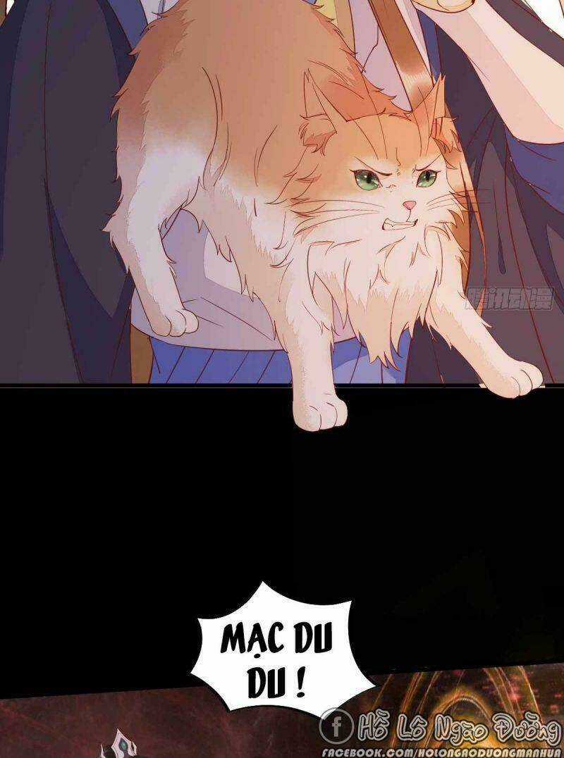 Sát Thủ Vương Phi Không Dễ Chọc - Chapter 59 - Trang 23