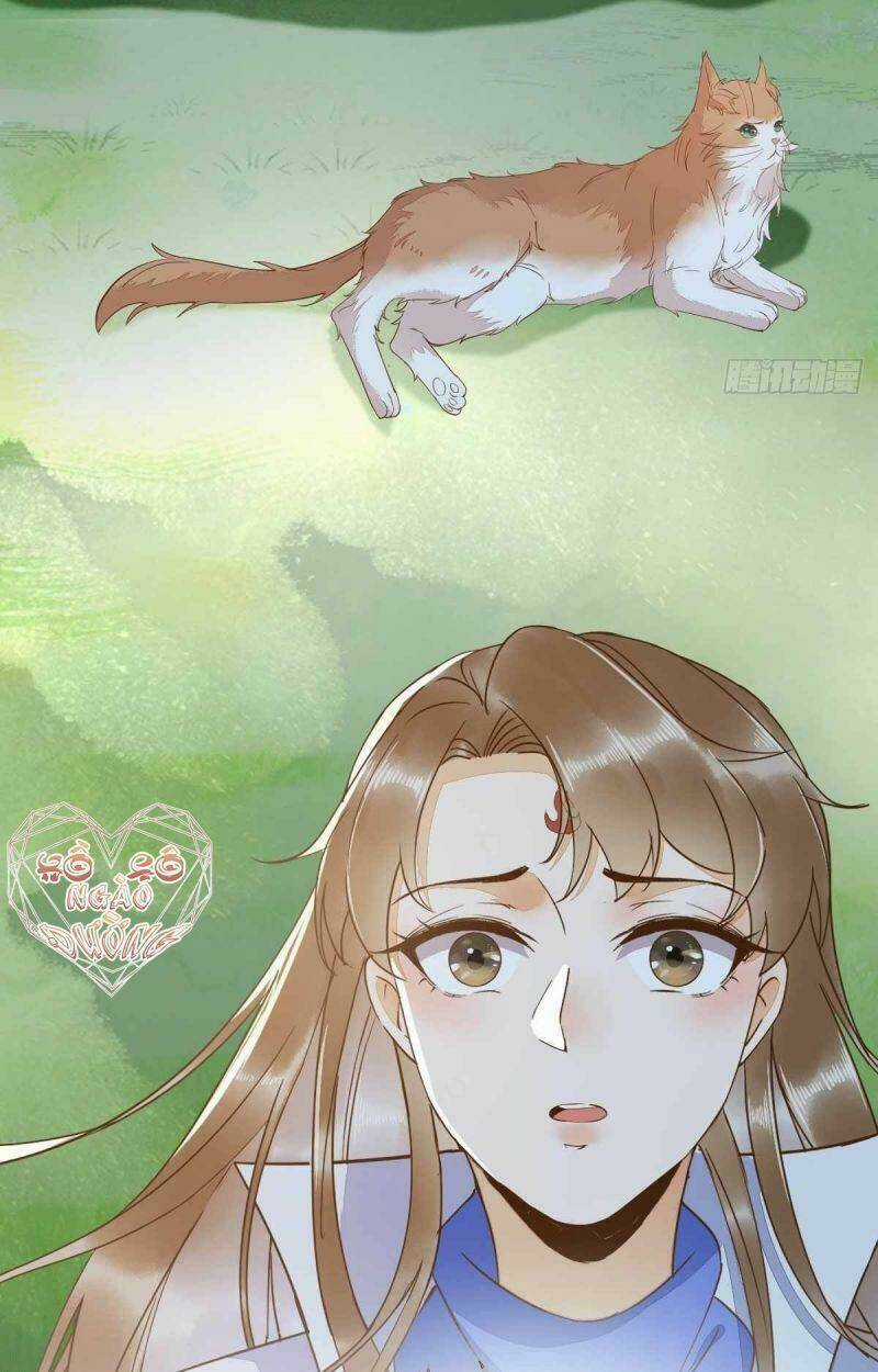 Sát Thủ Vương Phi Không Dễ Chọc - Chapter 59 - Trang 31