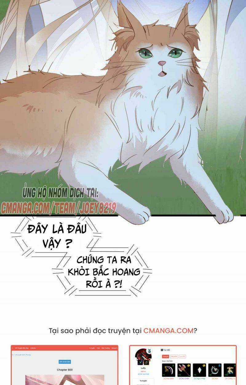 Sát Thủ Vương Phi Không Dễ Chọc - Chapter 59 - Trang 32