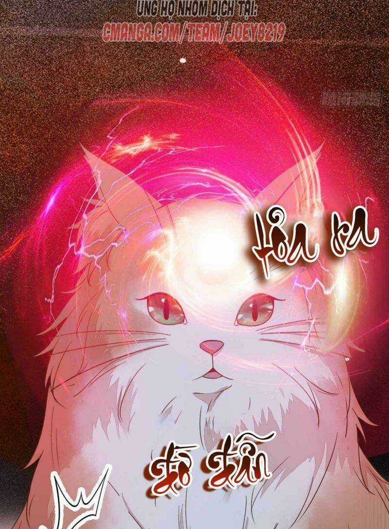 Sát Thủ Vương Phi Không Dễ Chọc - Chapter 59 - Trang 5