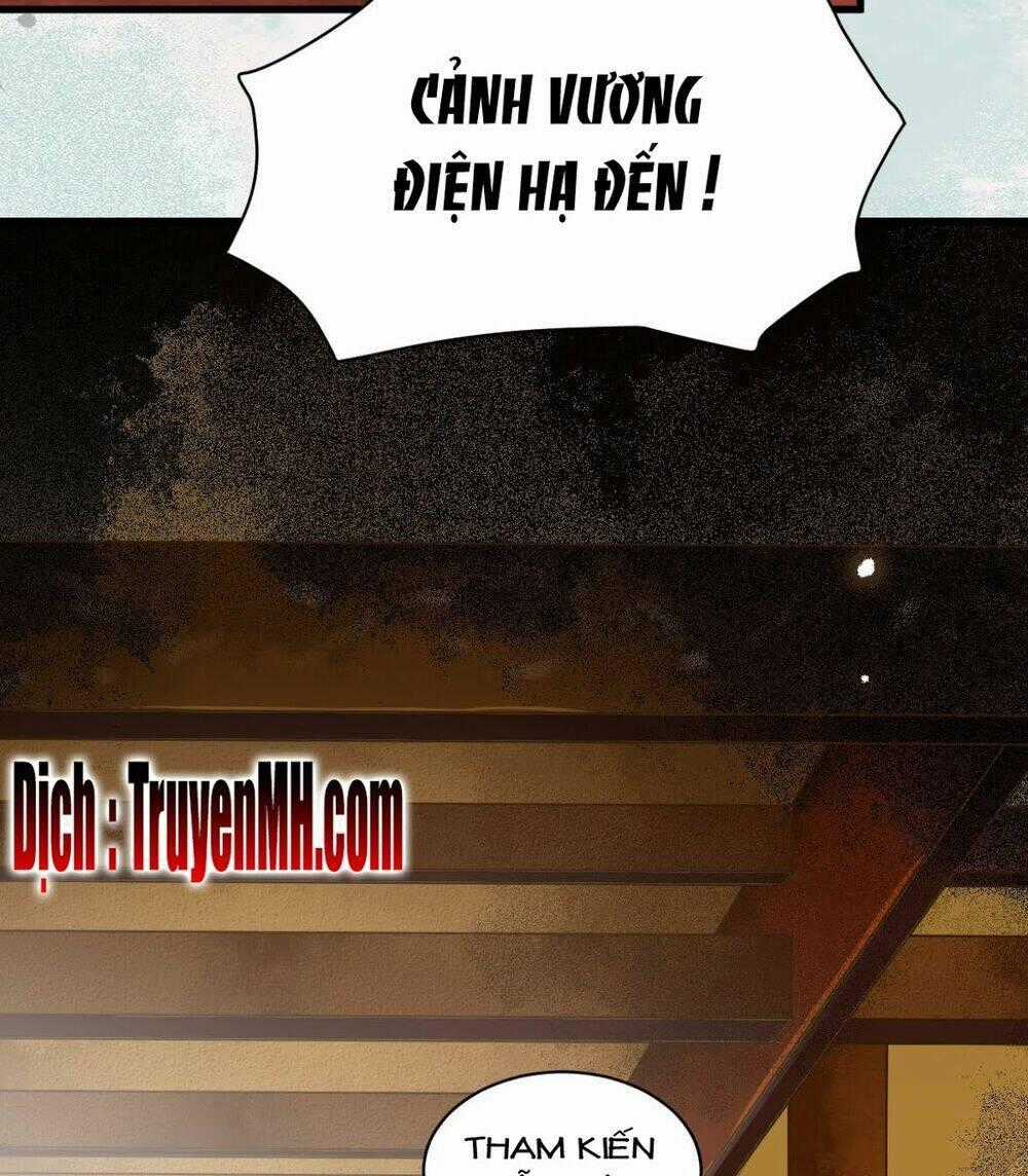 Sát Thủ Vương Phi Không Dễ Chọc - Chapter 6 - Trang 2