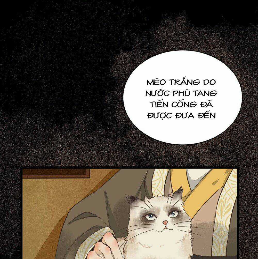 Sát Thủ Vương Phi Không Dễ Chọc - Chapter 6 - Trang 7