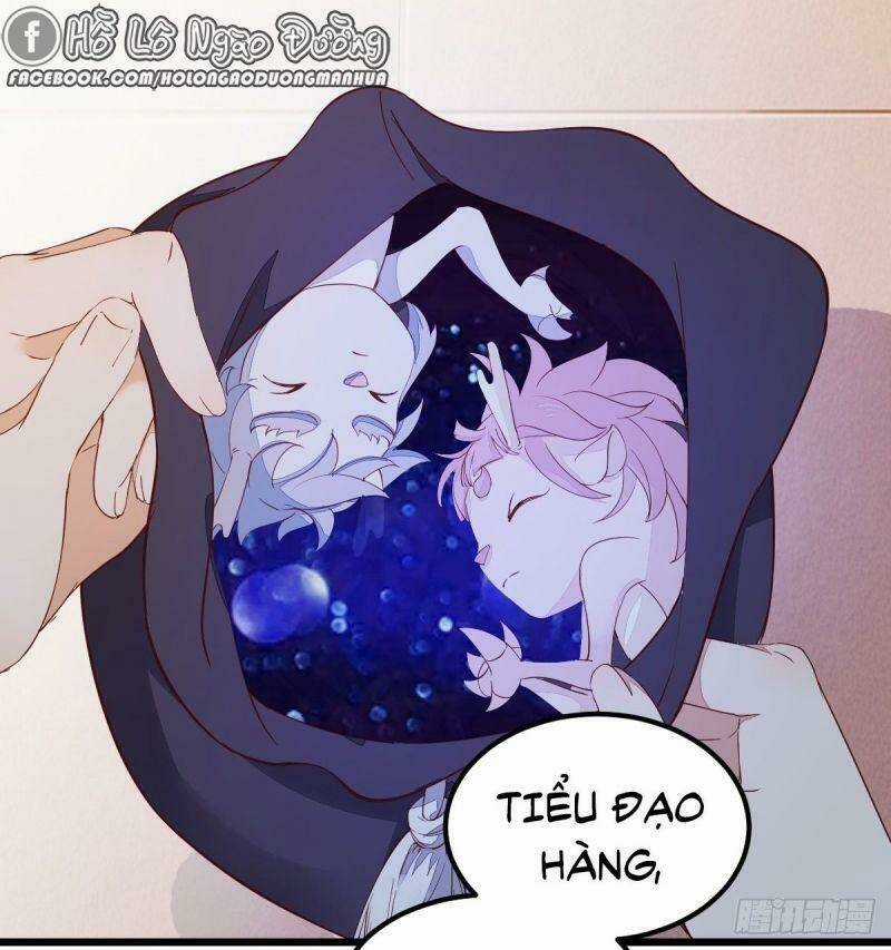 Sát Thủ Vương Phi Không Dễ Chọc - Chapter 60 - Trang 15