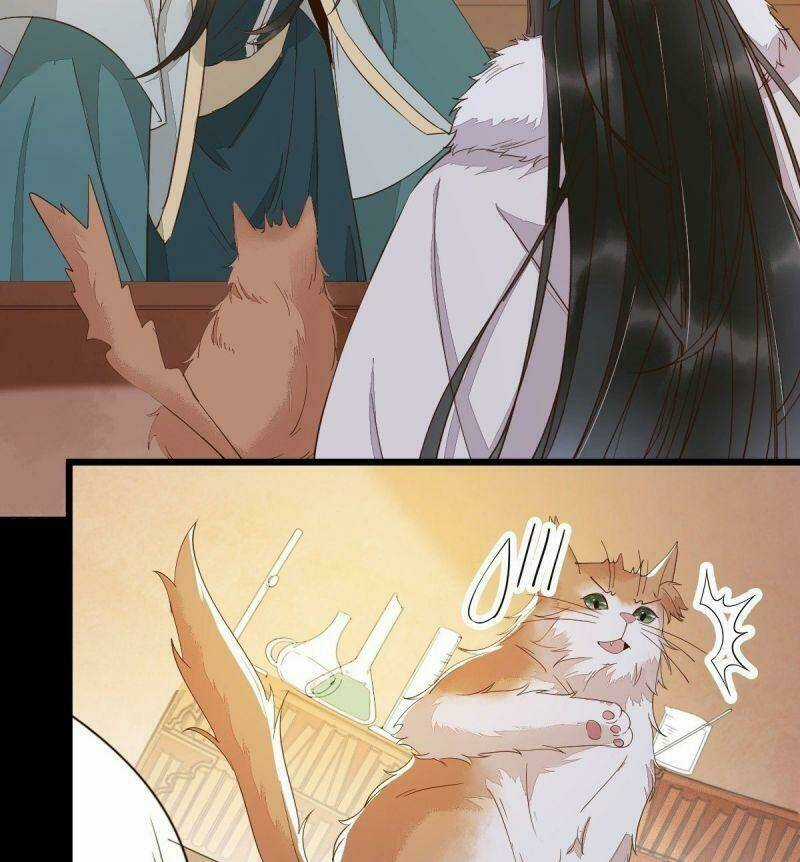 Sát Thủ Vương Phi Không Dễ Chọc - Chapter 60 - Trang 31